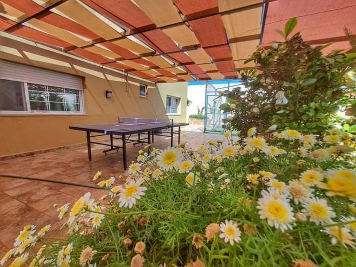 Villa Zee Madaba Exteriör bild