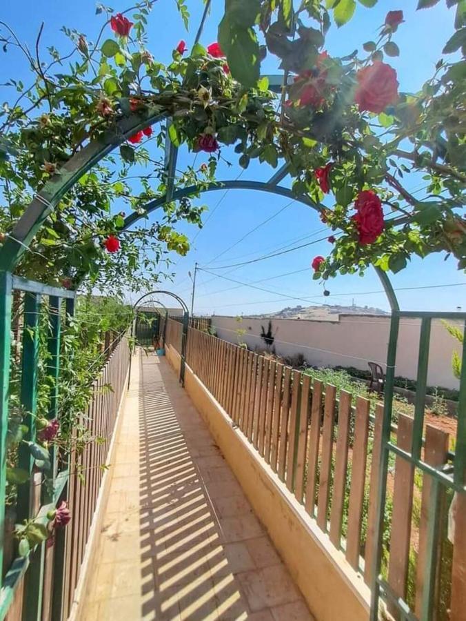 Villa Zee Madaba Exteriör bild