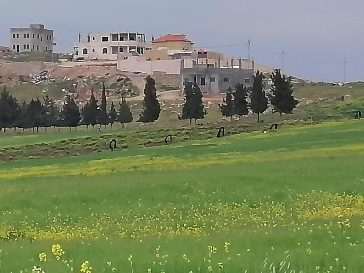 Villa Zee Madaba Exteriör bild